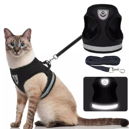 Breathable Escape-Proof Cat Harness - Happy2Cats