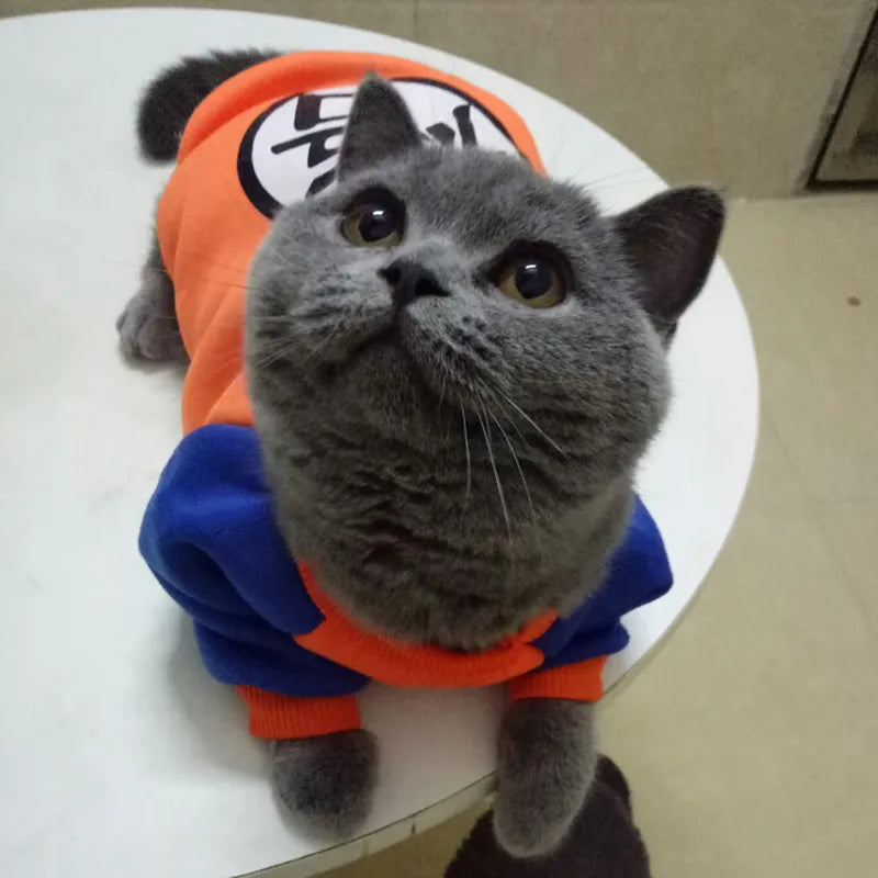 Stylish Summer Cat Hoodie Vest