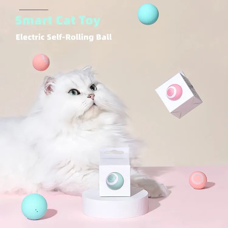 Rolling Electric Cat Ball - Happy2Cats