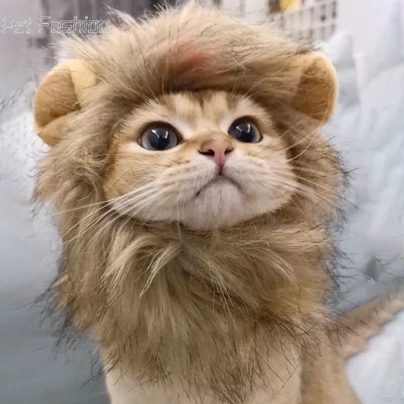 Cute Lion Mane Cat Wig Hat