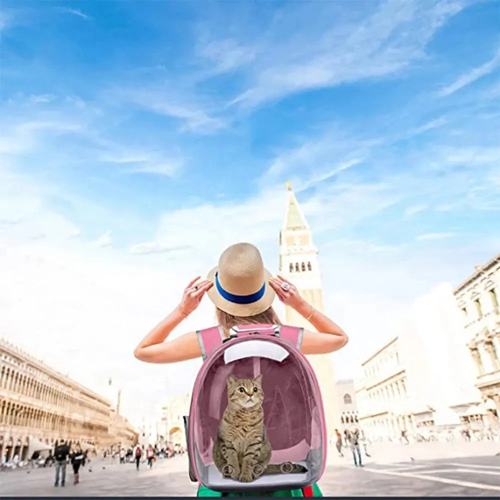 Pet Travel Bubble Backpack