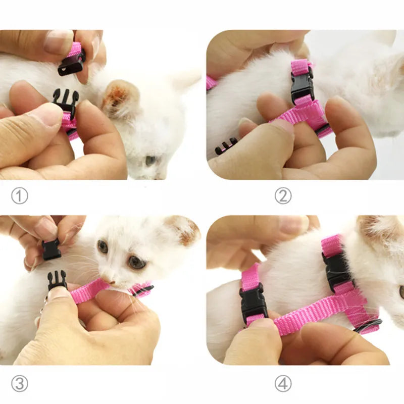 Angel Wings Pet Harness