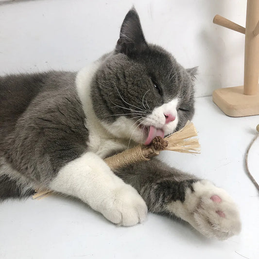 Cat Tooth Cleaning Snack Sticks