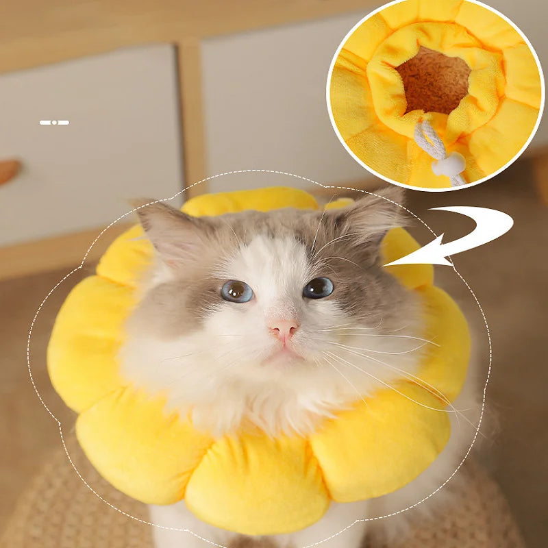 Pet Sunflower Elizabeth Collar