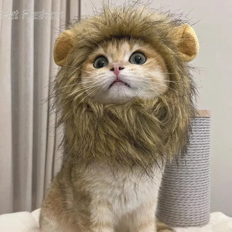 Cute Lion Mane Cat Wig Hat