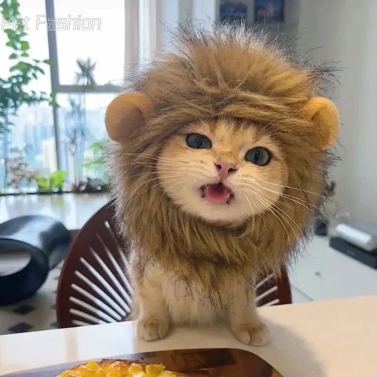 Cute Lion Mane Cat Wig Hat