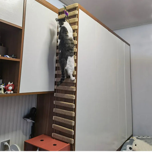 Wall-Mounted Cat Activity Center