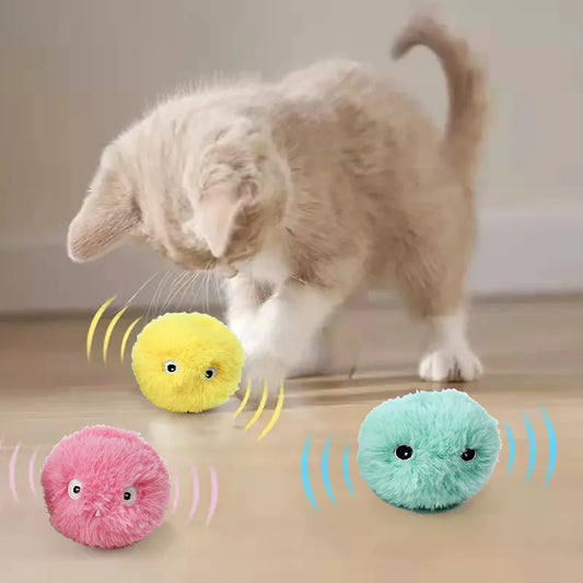 Interactive Electric Catnip Ball