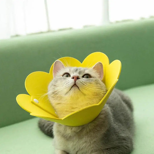 Sunflower Pet Healing Cone