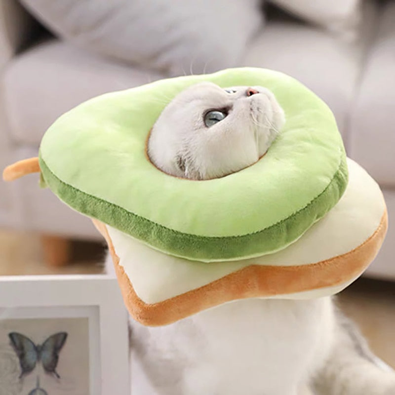 Soft Avocado-Shaped Pet Healing Collar - Happy2Cats