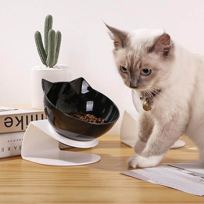 Non-Slip Pet Easy Feeder Bowl - Happy2Cats