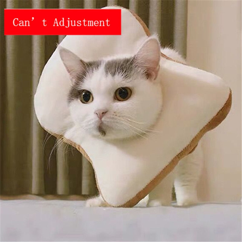 Soft Avocado-Shaped Pet Healing Collar - Happy2Cats