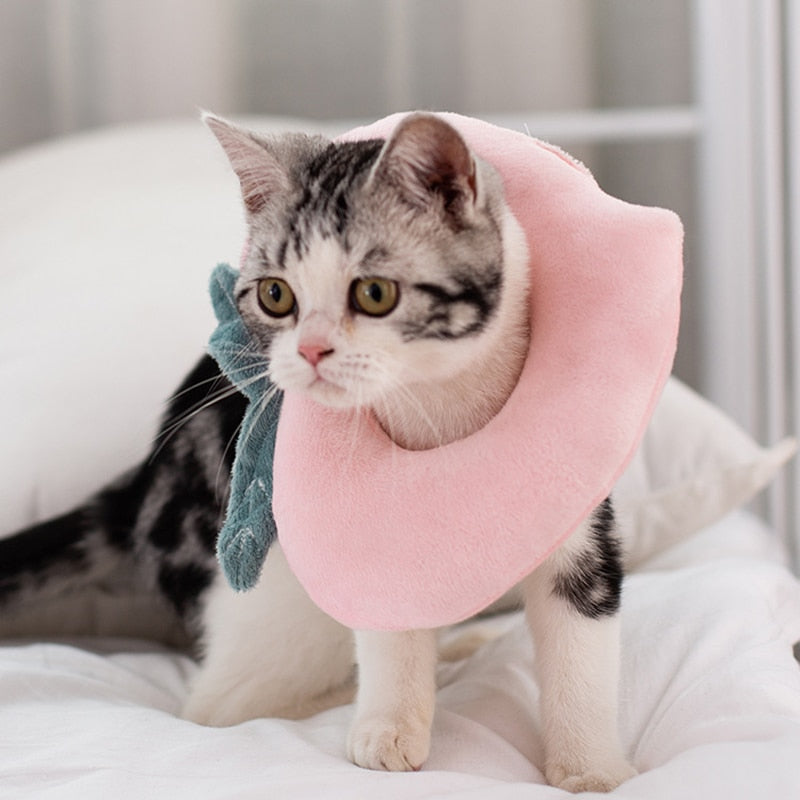 Soft Avocado-Shaped Pet Healing Collar - Happy2Cats