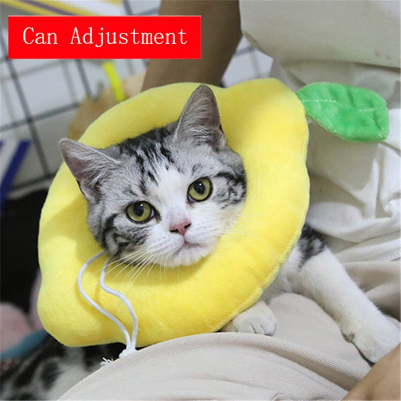 Soft Avocado-Shaped Pet Healing Collar - Happy2Cats