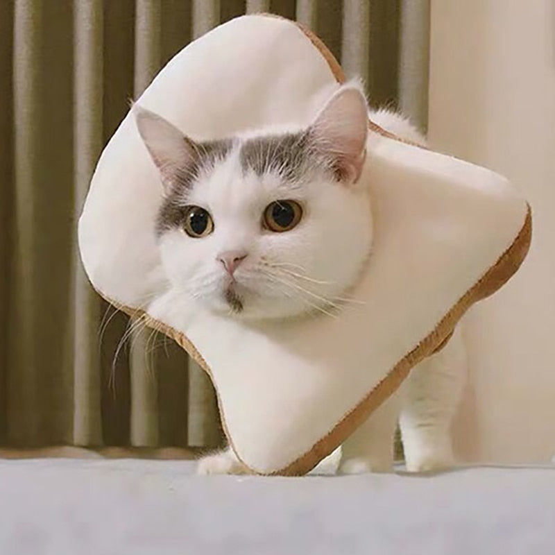 Soft Avocado-Shaped Pet Healing Collar - Happy2Cats