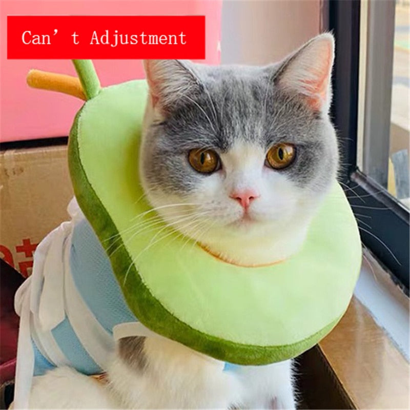 Soft Avocado-Shaped Pet Healing Collar - Happy2Cats