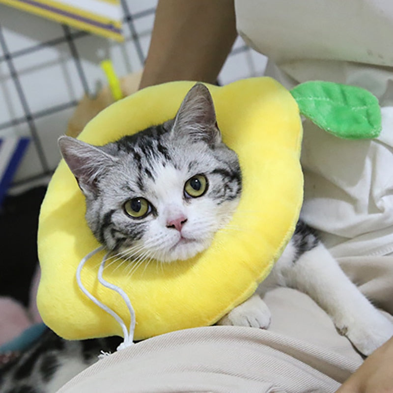 Soft Avocado-Shaped Pet Healing Collar - Happy2Cats