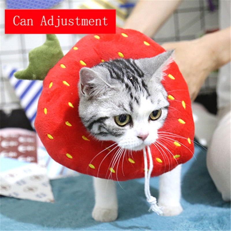 Soft Avocado-Shaped Pet Healing Collar - Happy2Cats