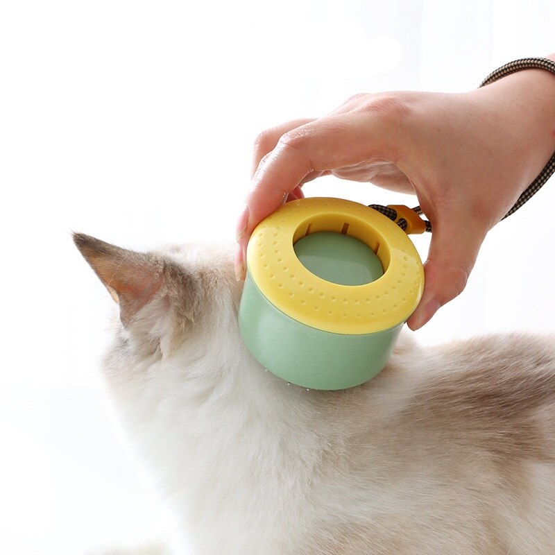 One Click Clean Mini Cat Hair Removal Brush - Happy2Cats