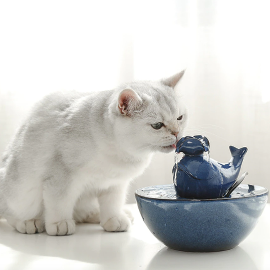 Automatic Circulating Pet Water Dispenser - Happy2Cats