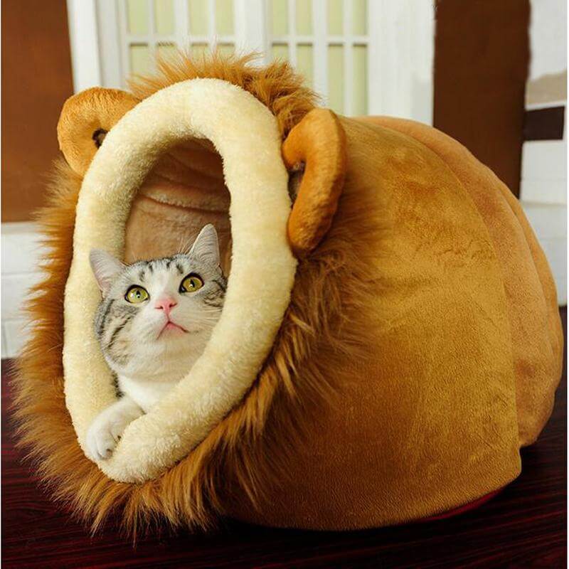 Lion Leopard Giraffe Pet Nest - Happy2Cats