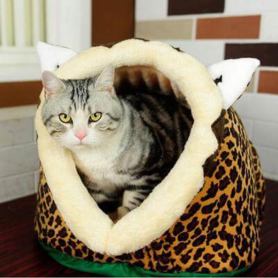 Lion Leopard Giraffe Pet Nest - Happy2Cats