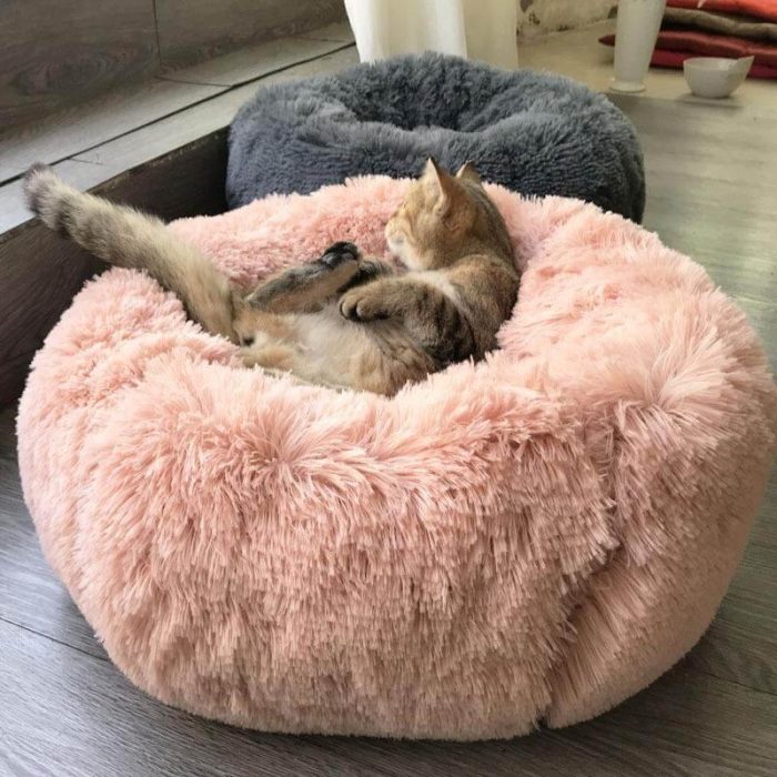 Super Soft Pet Bean Bag - Happy2Cats